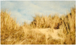 Weg nach Nirgendwo, Mischtechnik auf Schichtholz, 2019, 16 &times; 27 cm