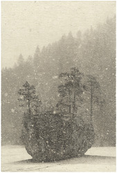 Island in the Snow
