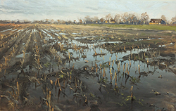 Überschwemmtes Feld