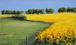 Rapsfelder in Holstein, Öl auf Leinwand, 30 &times; 50 cm