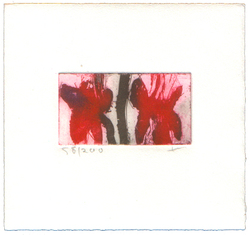 Fuchsien, Radierung, 2008, 4,6 &times; 8,5 cm