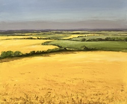 Rapsblüte in Schleswig-Holstein, Öl auf Leinwand, 2025, 50 &times; 60 cm