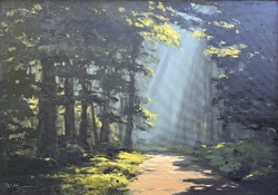 Waldweg mit Lichtreflexen