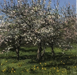 Obstblüte, Öl auf Leinwand, 40 &times; 40 cm