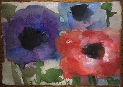 Anemonen, Gouache, 2016, 14 &times; 19 cm