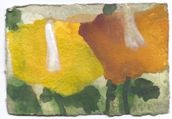Mohn, gelb, Gouache, 2011, 10 &times; 15 cm