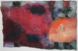 Mohn und Islandmohn