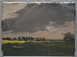 Raps bei Morsum, Öl auf Leinwand, 2013, 18 &times; 24 cm