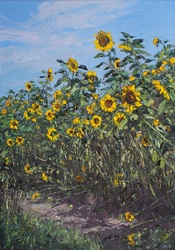 Sonnenblumen