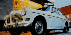 Volvo Amazon Ribe