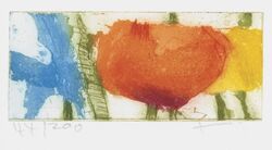 Iris/Mohn, Radierung, 2009, 6 &times; 13,8 cm