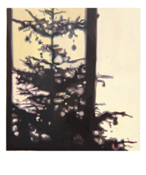Polaroid 17: Christbaumschatten