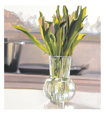 Polaroid 62: Tulpen