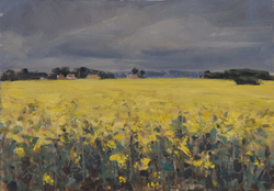 Raps bei Schwansee, Öl auf Hartfaser, 2008, 25 &times; 36 cm