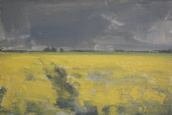 Rapsstudie V, Öl auf Hartfaser, 2012, 10 &times; 15 cm