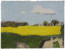 Rapsfeld bei Gelting, 1985, N/A