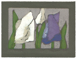 Tulpen weiß/lila, 2009, 9,2 &times; 13,7 cm