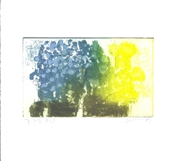 Vergißmeinnicht/Raps, Radierung, 2009, 7,5 &times; 11,5 cm