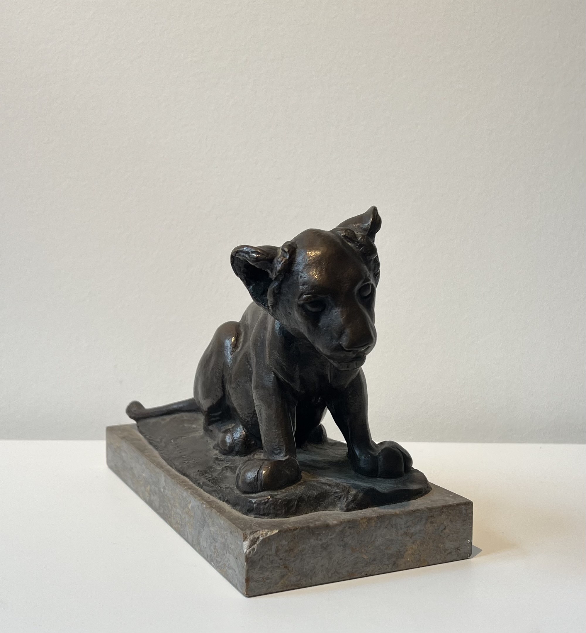 Junger sitzender Löwe (Dusselchen)