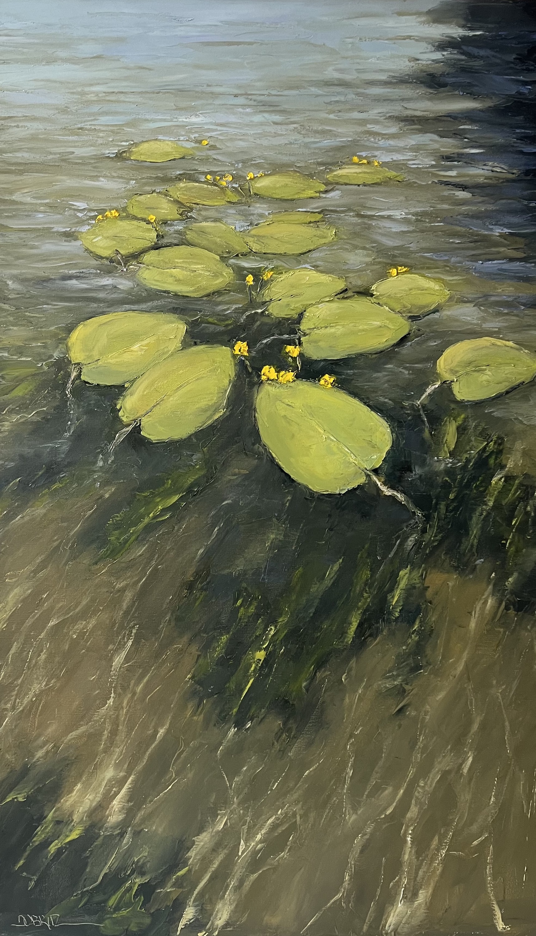 Seerosen