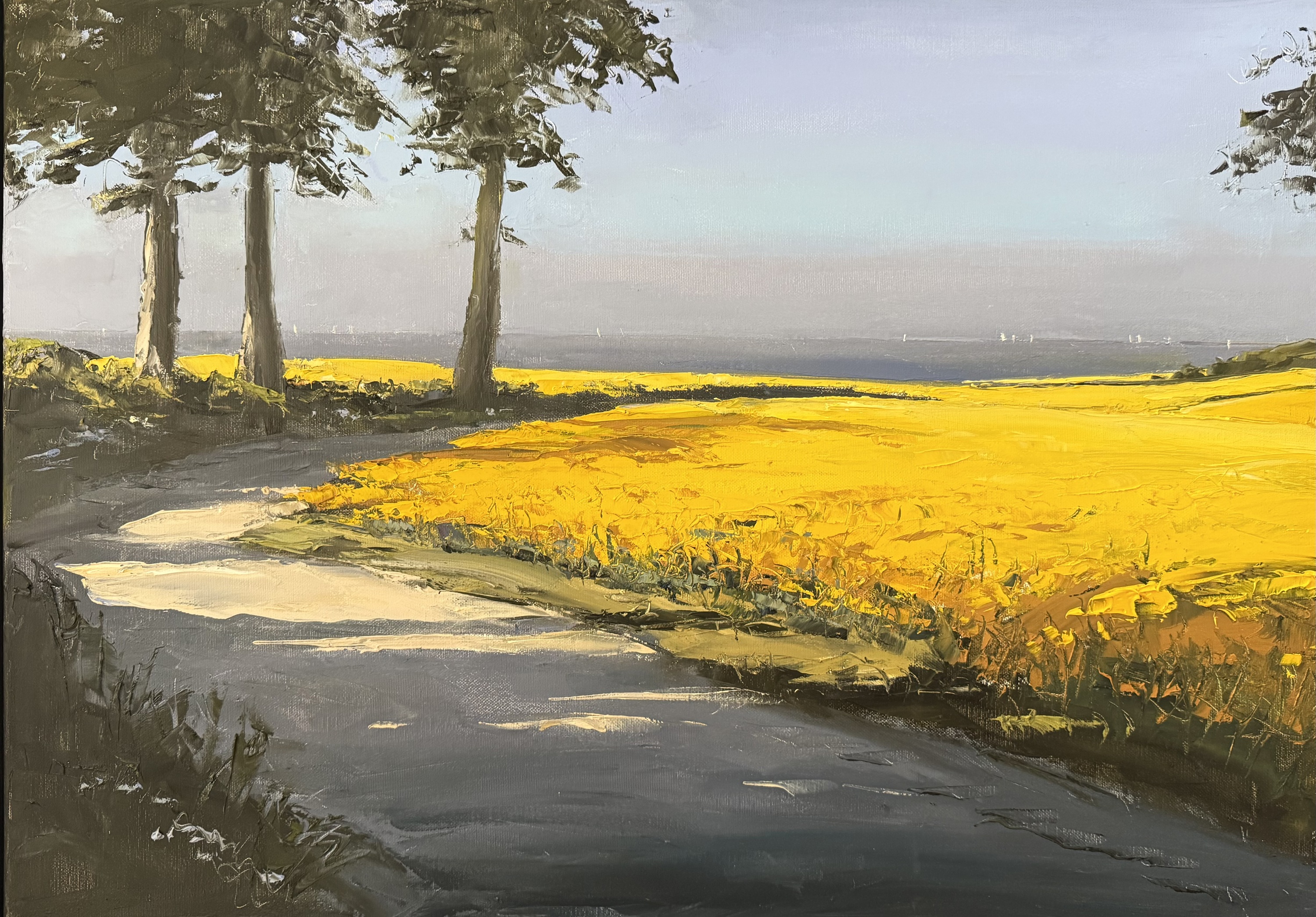 Rapsfelder an der Ostsee