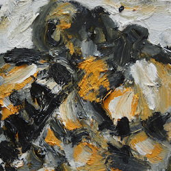 Variationen Grinau Nr. 13, Öl auf Leinwand, 2012, 20 × 20 cm