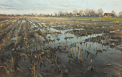 Überschwemmtes Feld, Öl auf Leinwand, 2020, 50 × 80 cm
