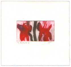Fuchsien, Radierung, 2008, 4,6 × 8,5 cm