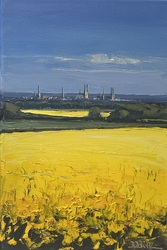 Rapsfelder vor Lübeck