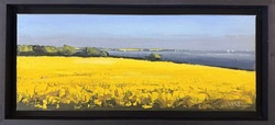 Rapsfelder an der Lübecker Bucht, Öl auf Leinwand, 2026, 20 &times; 50 cm