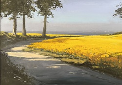 Rapsfelder an der Ostsee, Öl auf Leinwand, 2026, 50 &times; 70 cm