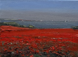 Mohnfelder an der Ostsee, Öl auf Leinwand, 2026, 18 &times; 24 cm