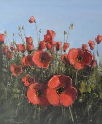 Mohnblumen
