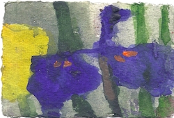 Iris und Tulpe, Gouache, 2017, 10 × 15 cm