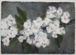 Kirschblüten, Gouache, 2008, 21 × 30 cm