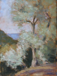 Olivenbaum, morgens, Öl auf Leinwand, 2017, 40 × 30 cm