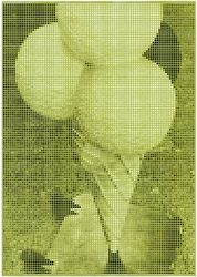 Kyoto Kiwi Matcha Melange