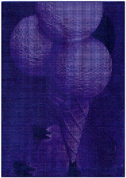 Pretty Plum Zinfandel Liaison