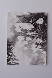 Teichrosen, Aquarell auf Bütten, 2014, 38 × 28 cm