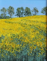Rapsfeld, Öl auf Leinwand, 30 × 24 cm