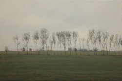 Pappeln/grau, Öl auf Leinwand, 2012, 60 × 90 cm