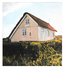 Polaroid 50: Dünenhaus 5