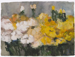 Rosen gelb, Gouache, 2007, 55,3 × 74,8 cm