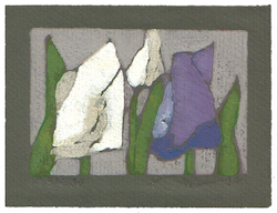 Tulpen weiß/lila, 2009, 9,2 × 13,7 cm